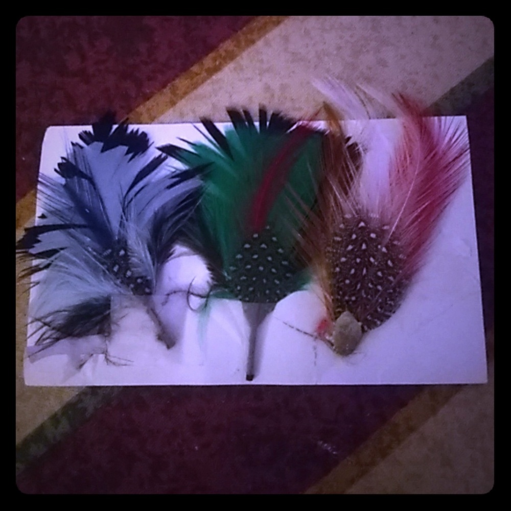 Hat/hair feathers